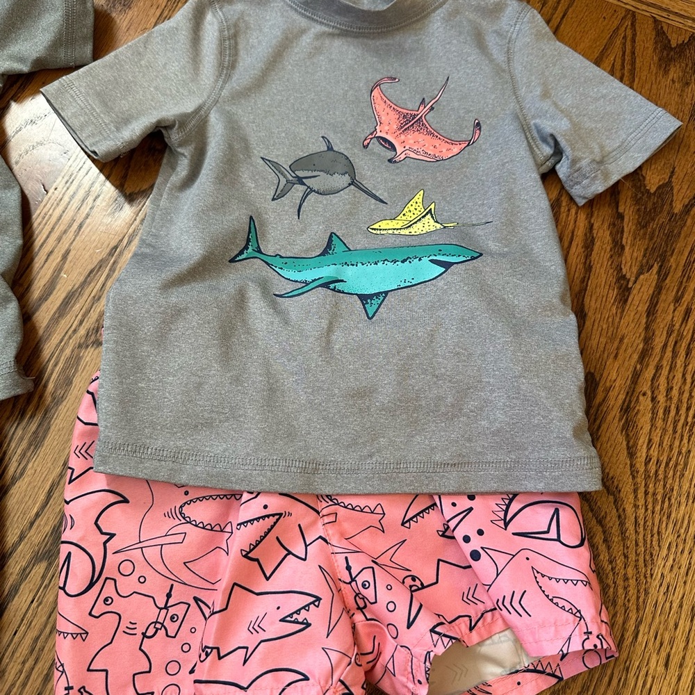 Cat & Jack Gray and Pink Kids Swim Rashguard Set